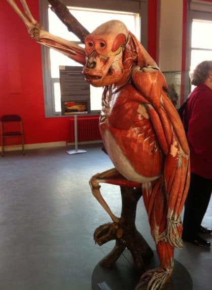 10937835_625773397550054_1115510433_n