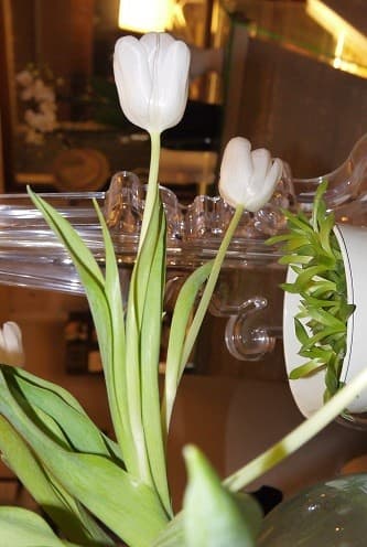 Playfood décoration