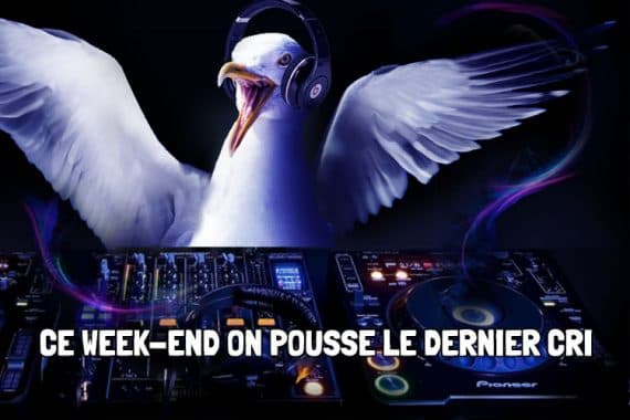 mouetteDJ
