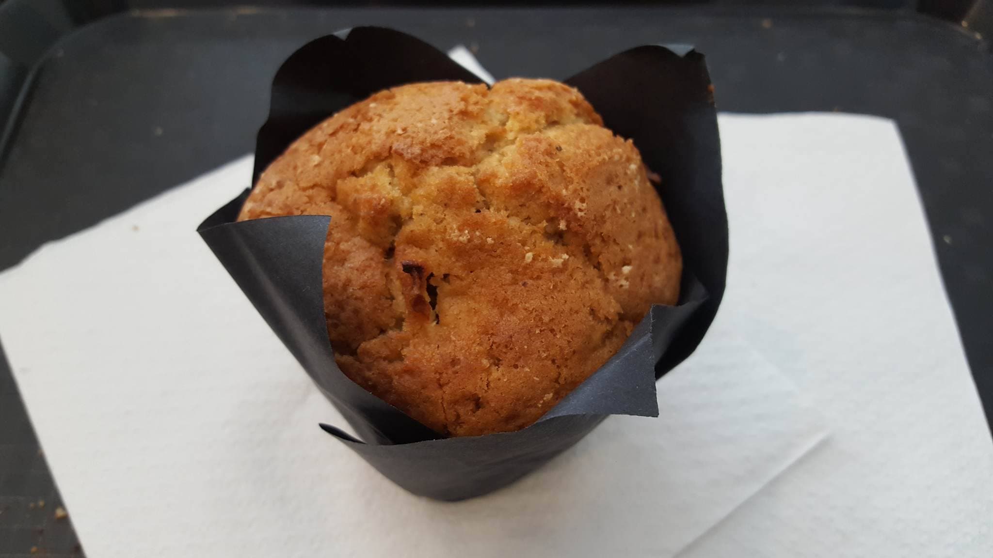 12380750_833279340132791_736793180_o