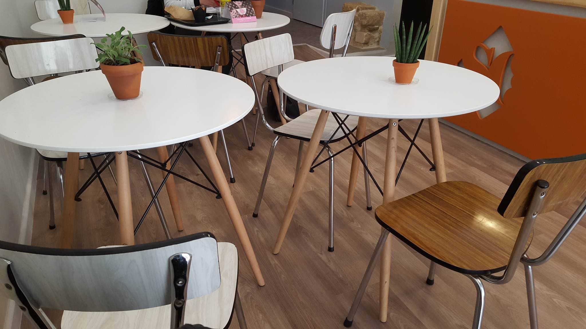 12516876_833279236799468_356527908_o