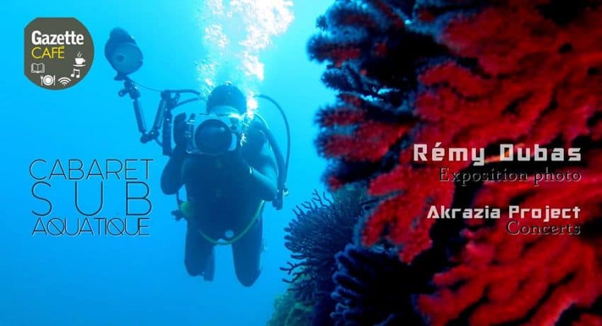 12670038_503608933151653_4340464190801187112_n