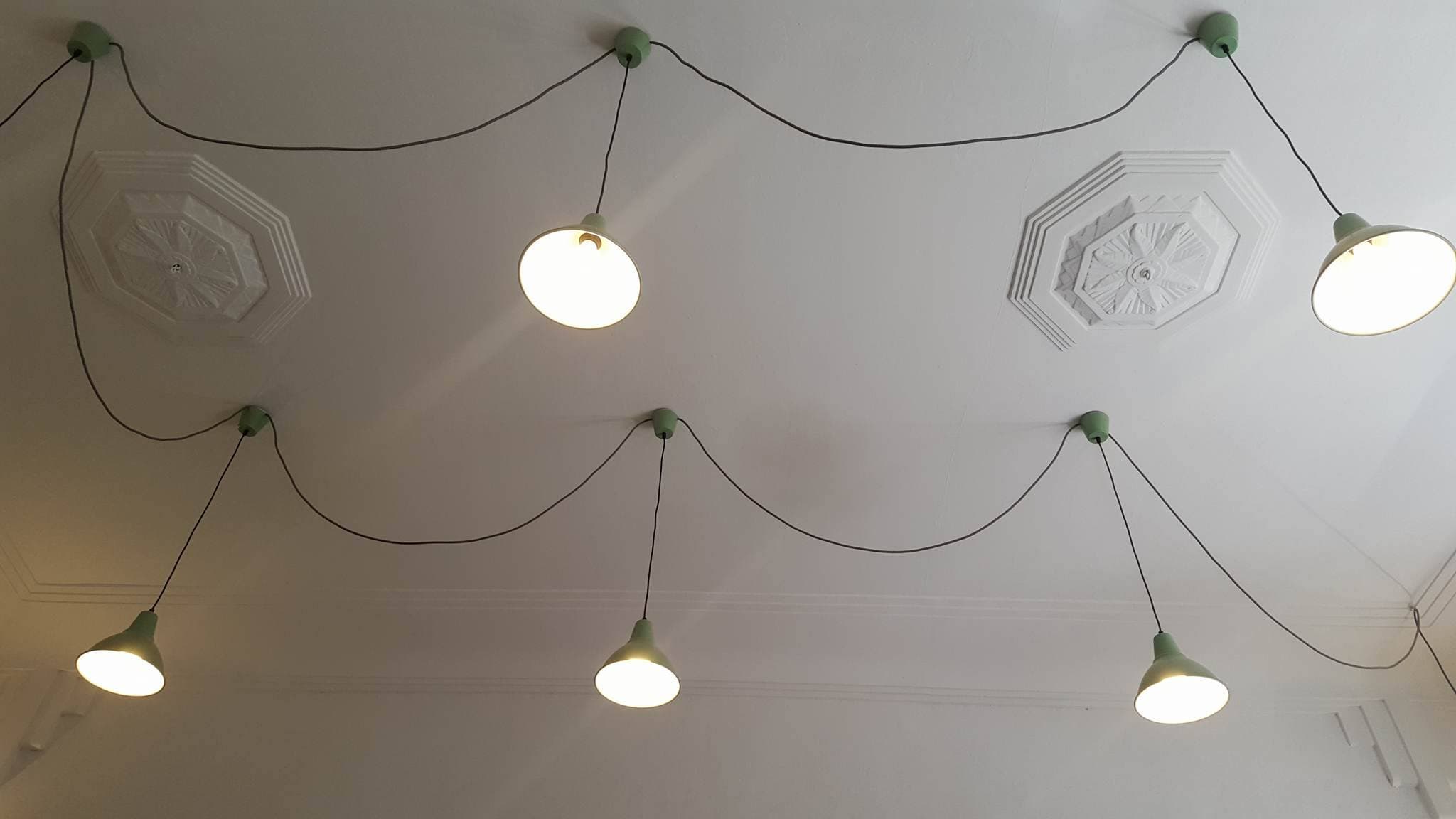 12675118_833279453466113_304834388_o