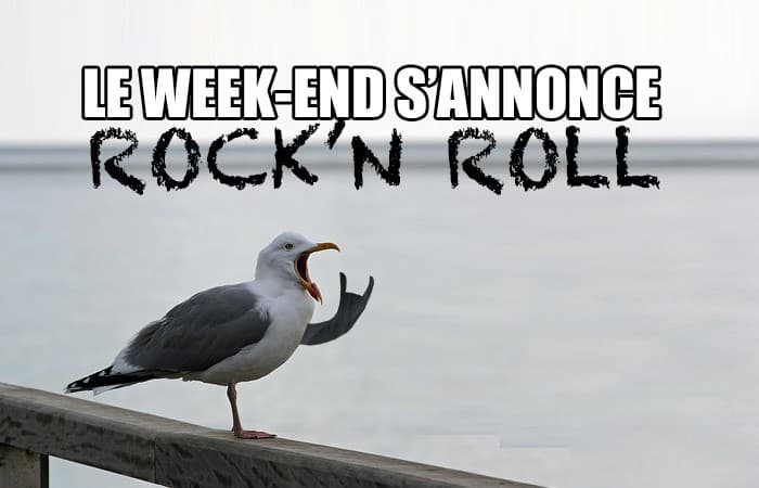 Rock-Mouette