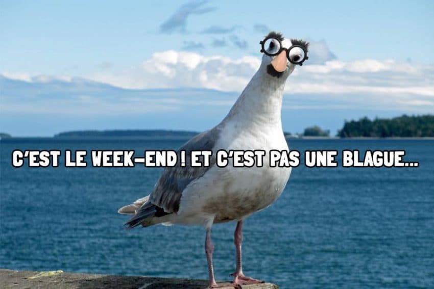 12939660_10154036222915890_1285272544_n