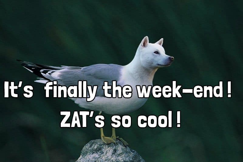 12988045_10154056398160890_706157543_n