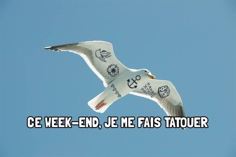 13077262_10154089585990890_838262363_n (1)