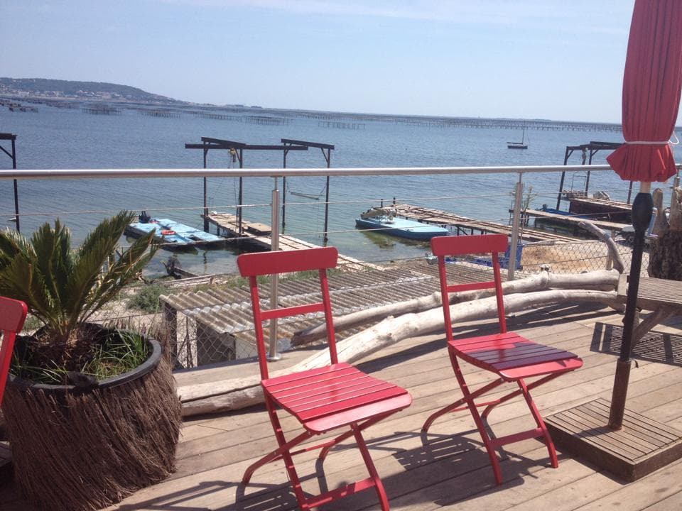 11707552_10153347312375519_1061488527327248576_n