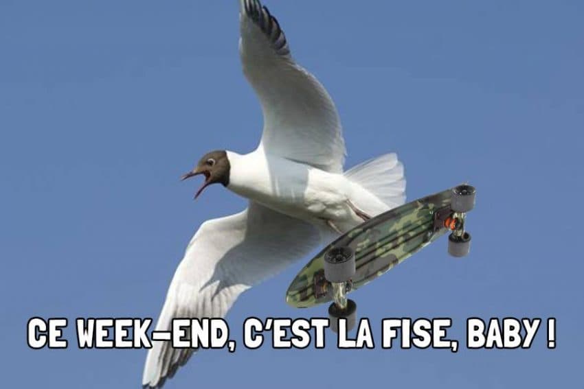 13181210_10154123022995890_370344091_n