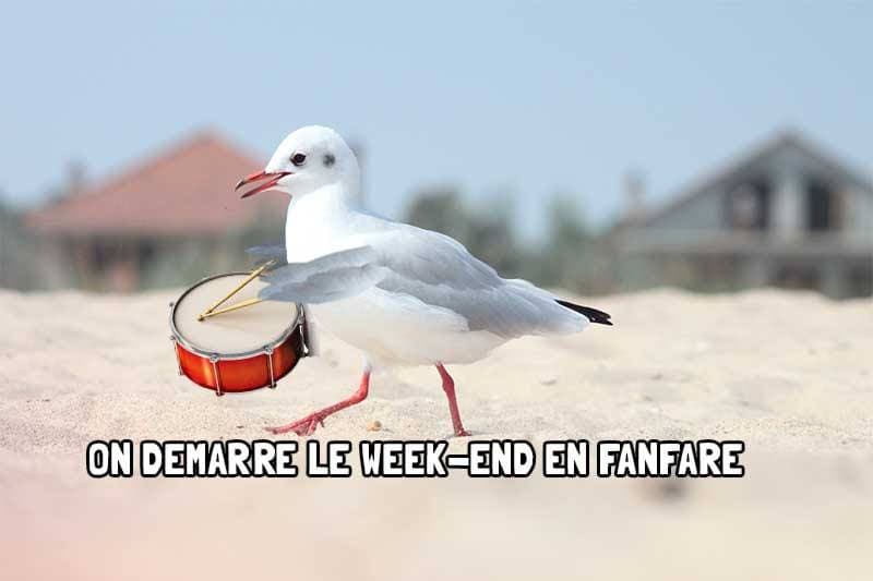 13414466_10154206707830890_1500674393_n