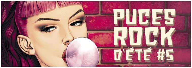 Banniere web PUCES-5