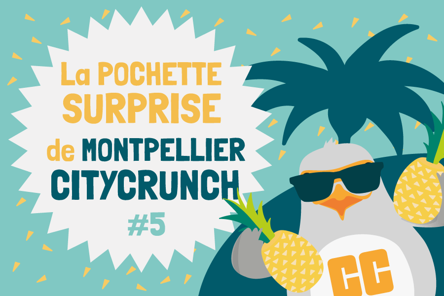 visuel-pochette-article-MCC