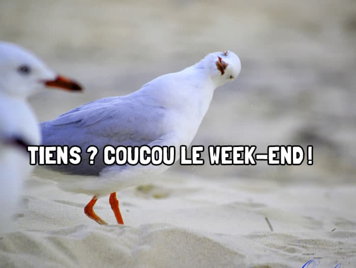 sorties du week-end montpellier avril 2018