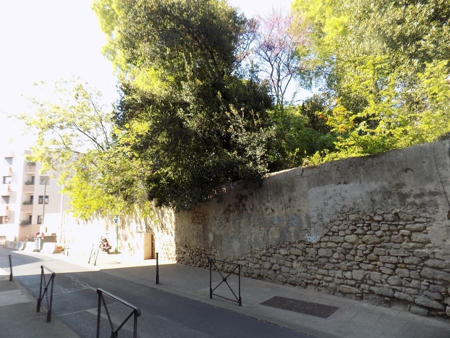 jardin de la reine espace vert montpellier