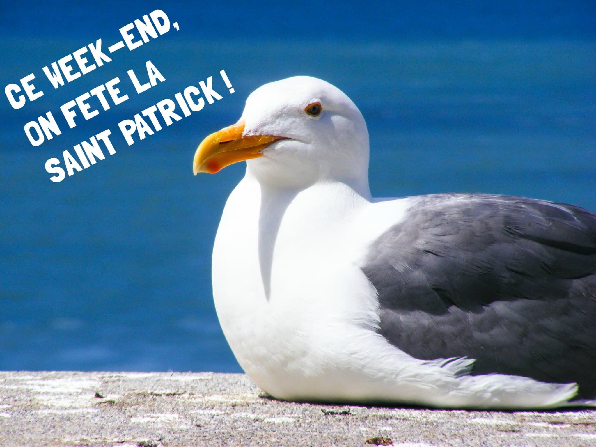 sorties du week-end Montpellier activités montpellier