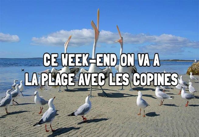 agenda sorties montpellier que faire le week-end du 06 juillet à montpellier