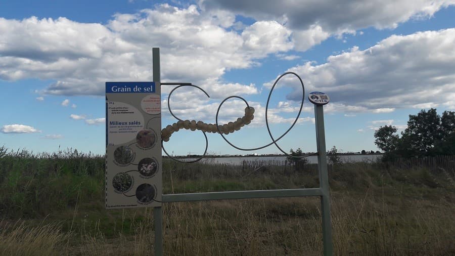 réserve naturelle méjéan site naturel occitanie