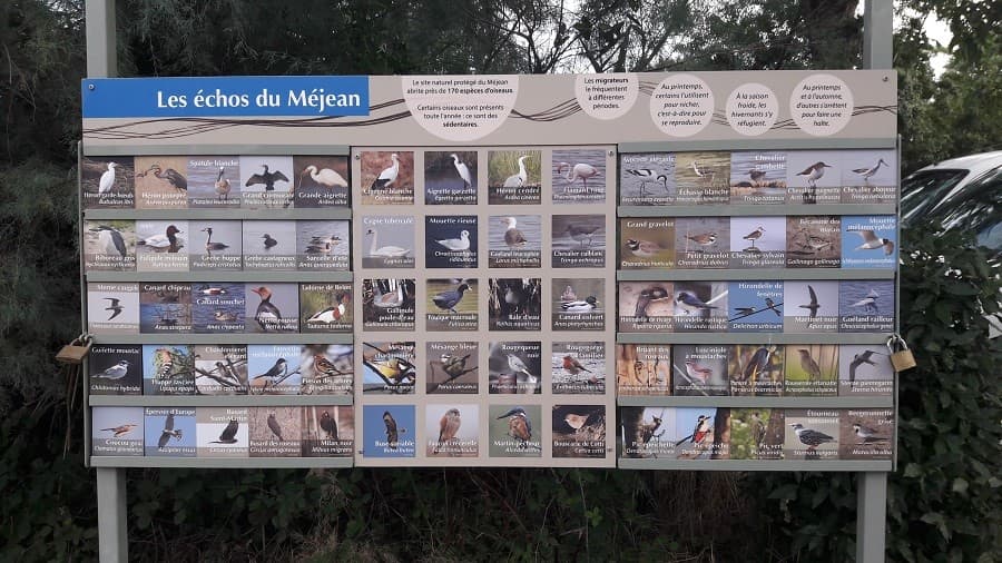 réserve naturelle du méjéan  balade palavas