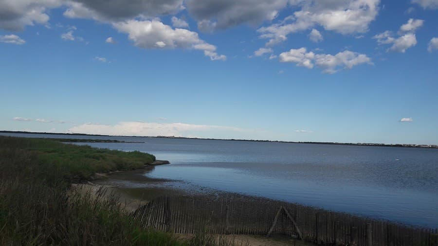 site naturel du méjéan  idée balade gratuite montpellier