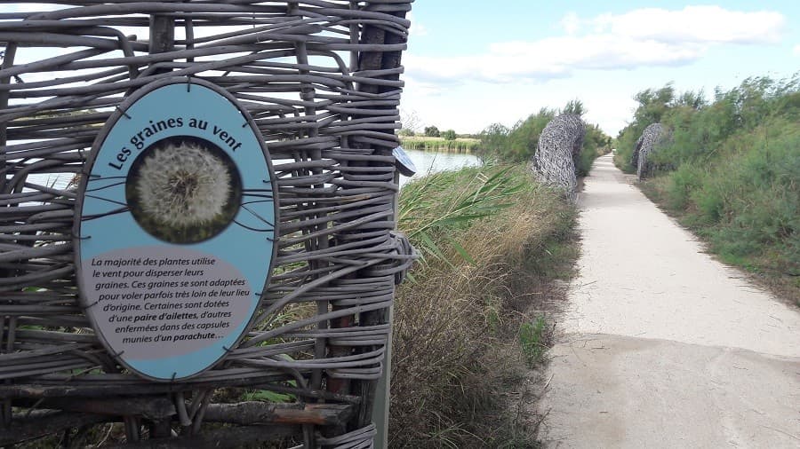reserve naturelle méjean sortie famille palavas