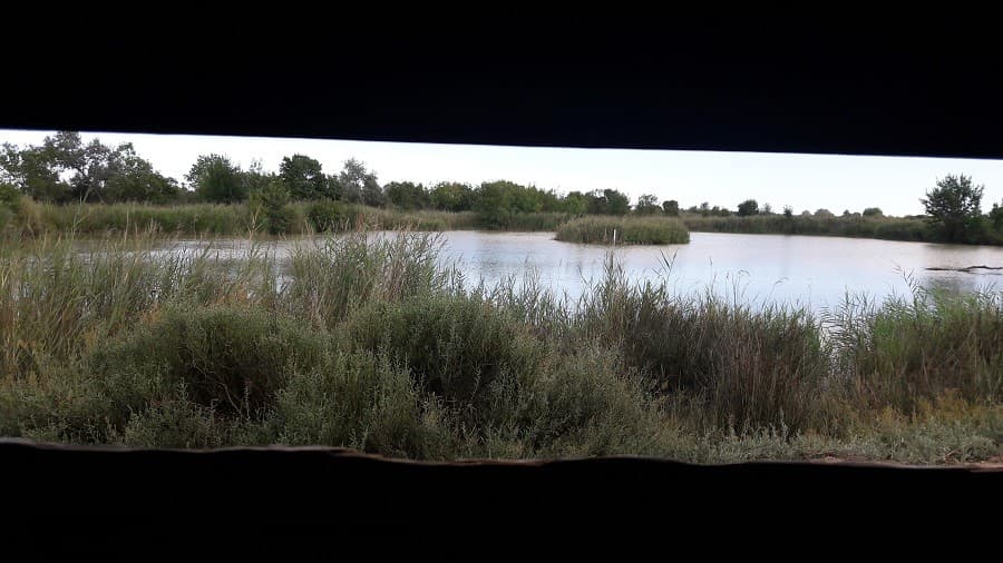 reserve naturelle méjean  promenade en famille montpellier