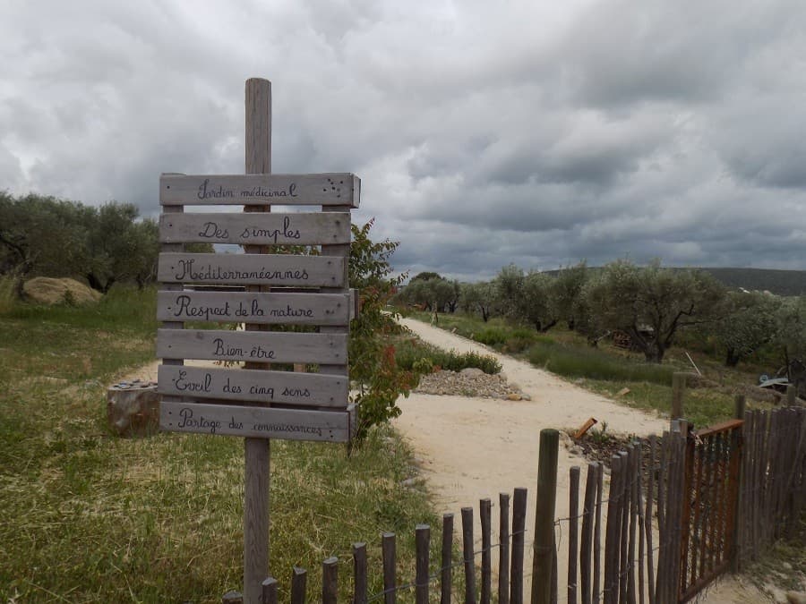 domaine d'oulivie oliveraie domaine d'oulivie combaillaux