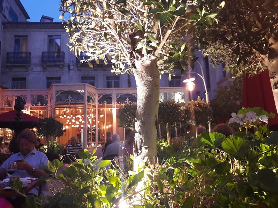 brasserie du théâtre restaurant comédie montpellier