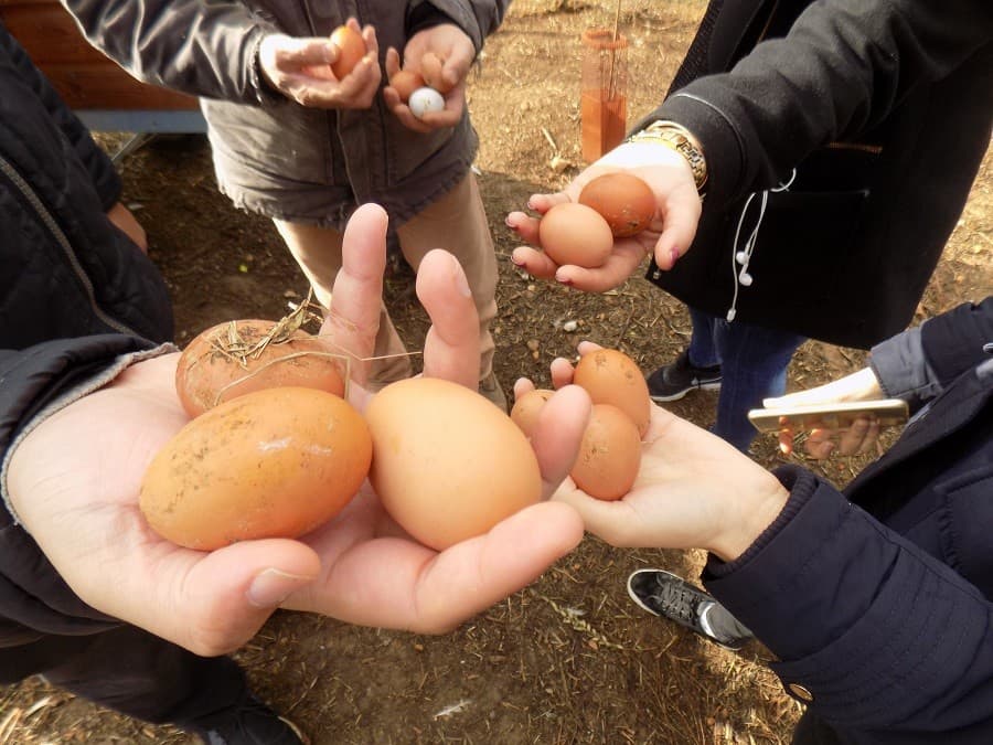 domaine enclos de la croix lansargues activité nature près de montpellier