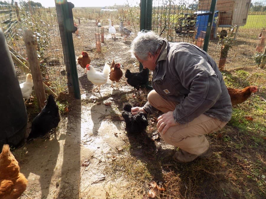 domaine enclos de la croix lansargues activité autour de montpellier