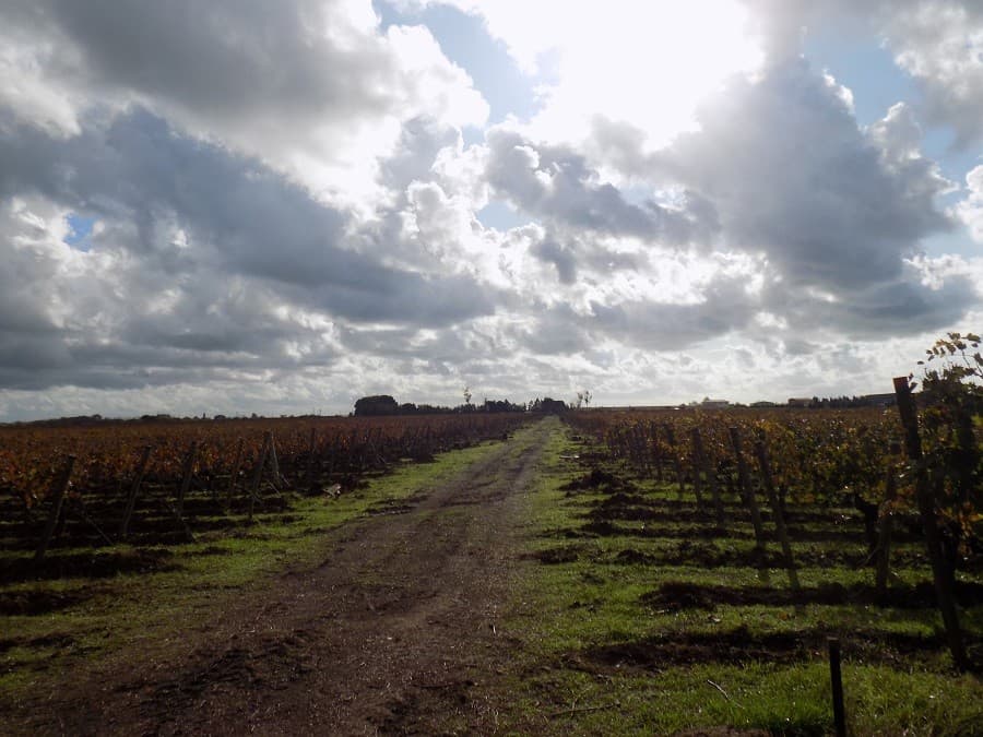 domaine enclos de la croix lansargues oenotourisme autour de montpellier