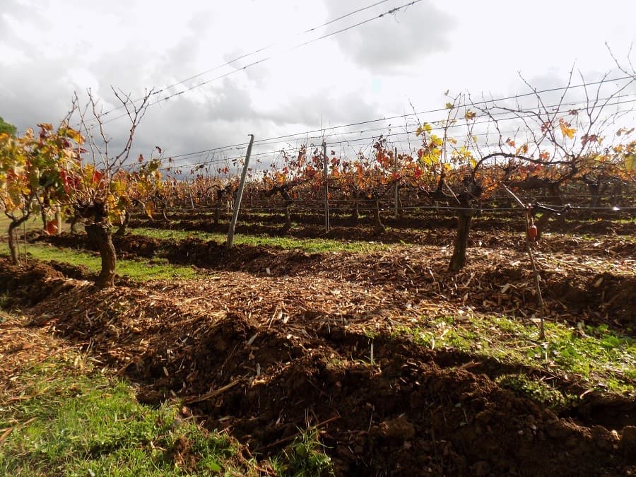 domaine enclos de la croix lansargues balade près de montpellier