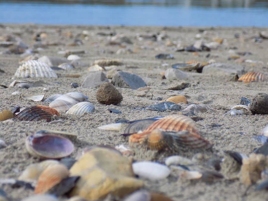 tour du ponant balade grande motte promenade