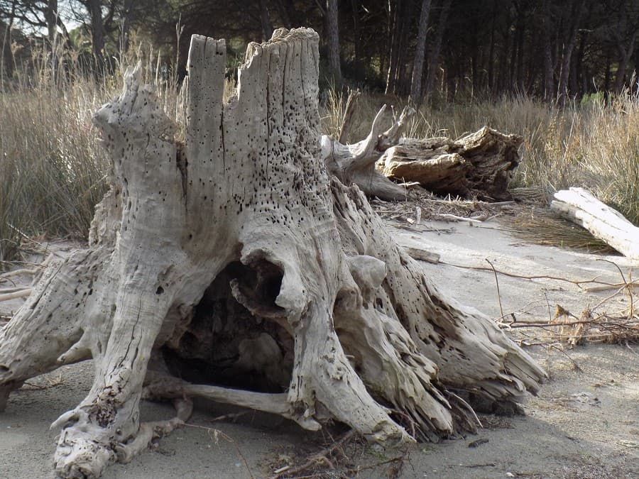 tour du ponant balade balade près de montpellier
