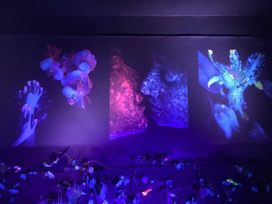 galerie ephemere villeneuve les maguelone galerie ephemere villeneuve les maguelone