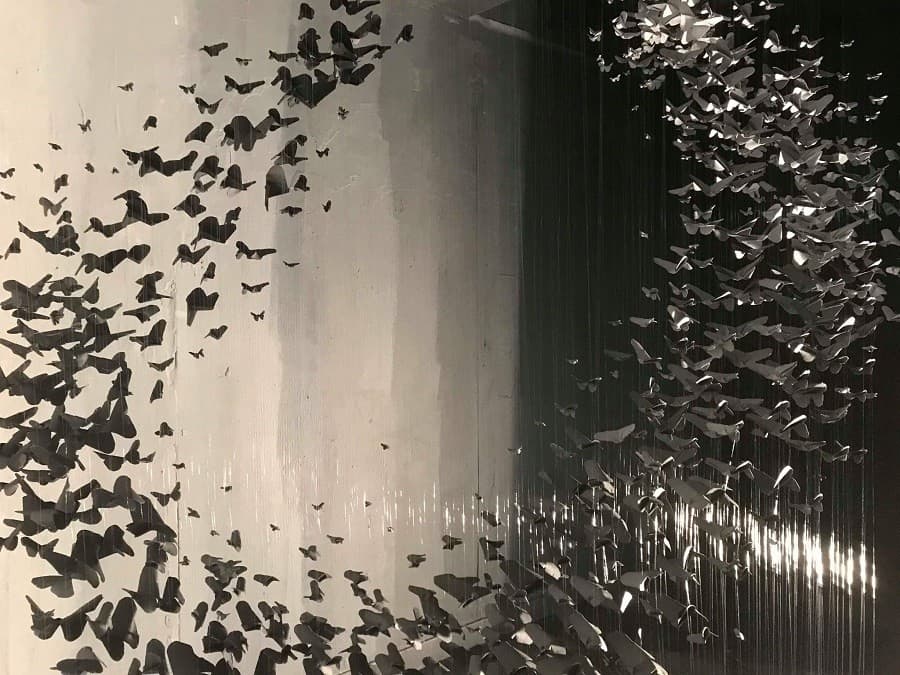 galerie ephemere villeneuve les maguelone galerie ephemere villeneuve les maguelone