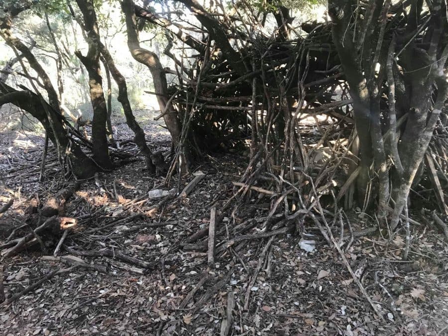 parc coulondres saint gély du fesc parc des coulondres saint gély du fesc