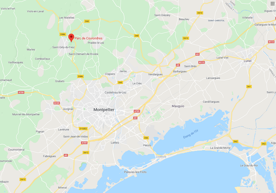 balade près de montpellier parc des coulondres saint gély du fesc