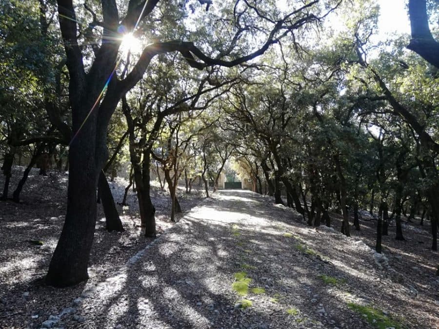 parc coulondres saint gély du fesc parc près de montpellier