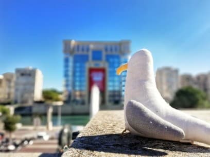 antigone montpellier