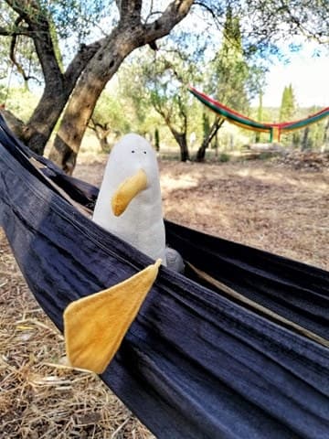 balader autour de montpellier domaine de l'oulivie