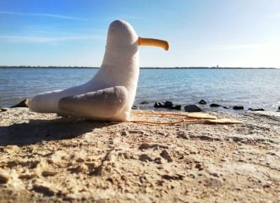 balader autour de montpellier cabanes de perols