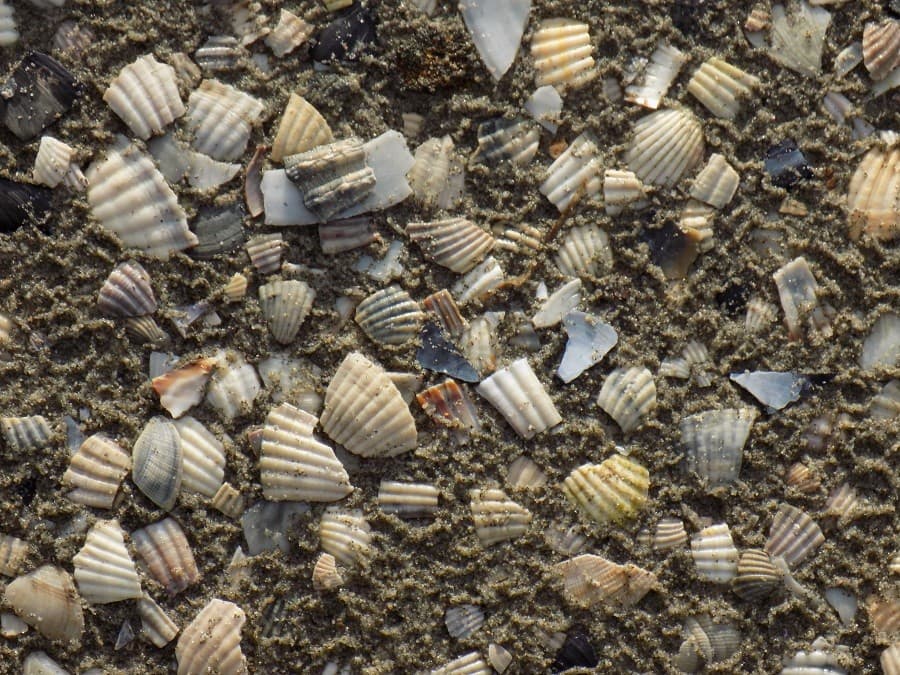 tour du ponant balade virée près de montpellier