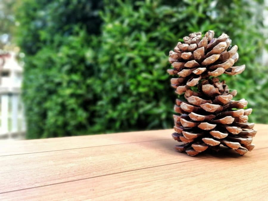 visite virtuelle de montpellier confinement tour des pins montpellier