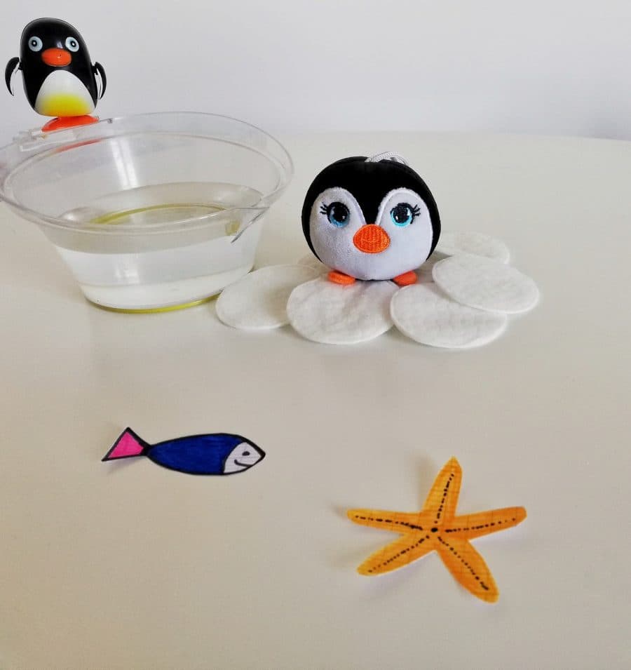 visite virtuelle de montpellier confinement mare nostrum montpellier