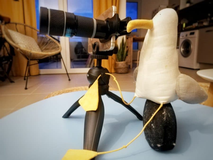 visite virtuelle de montpellier confinement activités à faire pendant le confinement