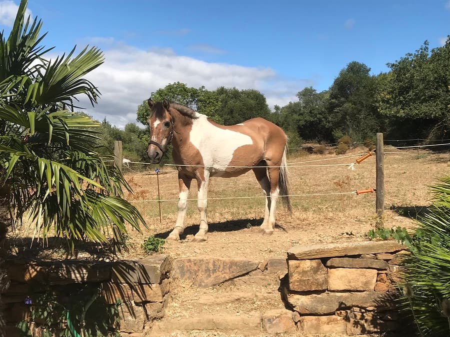 Clos des coustoulins chambre d'hôtes et séjour concept Activité fun autour de Montpellier
