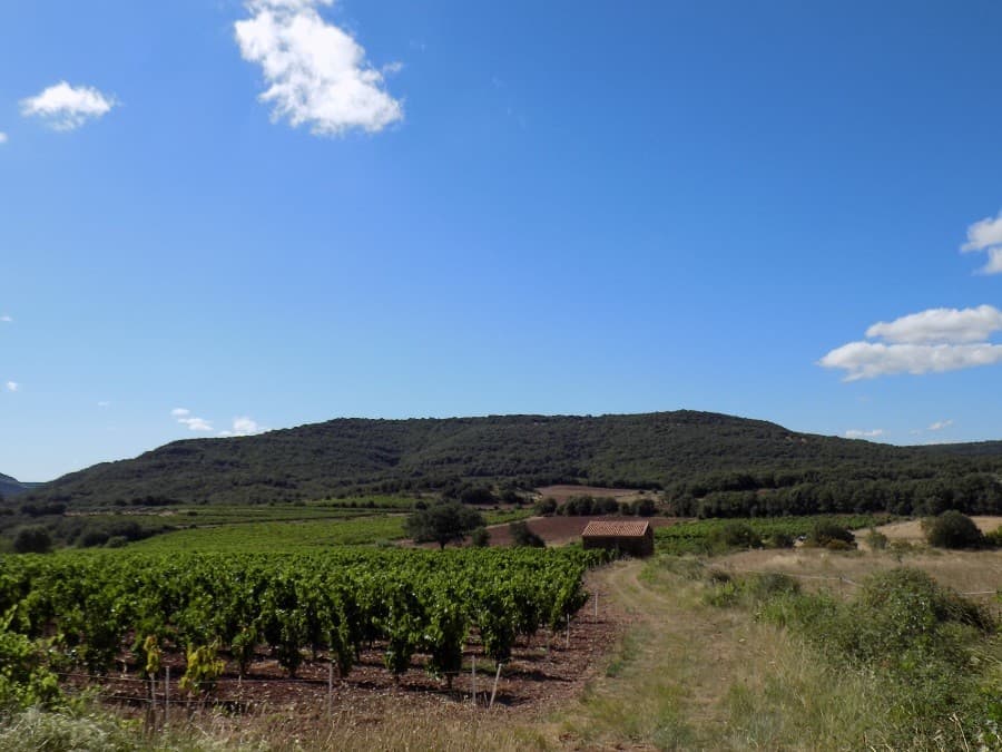 Clos des coustoulins chambre d'hôtes et séjour concept oenotourisme montpellier