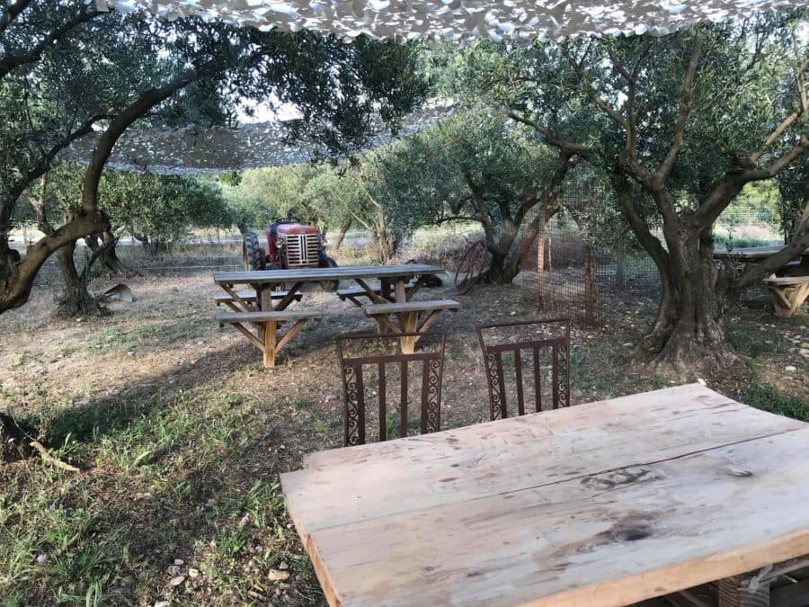soirée olea domaine de l'oulivie tables et chaises au milieu des oliviers tracteur