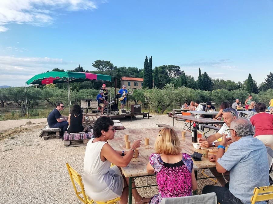 soirée olea domaine de l'oulivie concert oliveraie