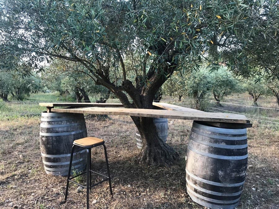 soirée olea domaine de l'oulivie